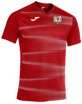 Cardiff City F.C Logo Unisex Shirt Apparel - Tagotee